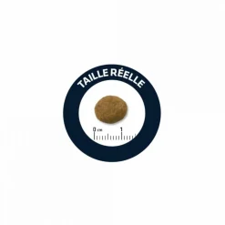 ADVANCE - Croquettes chien maxi puppy - advance 12 kg