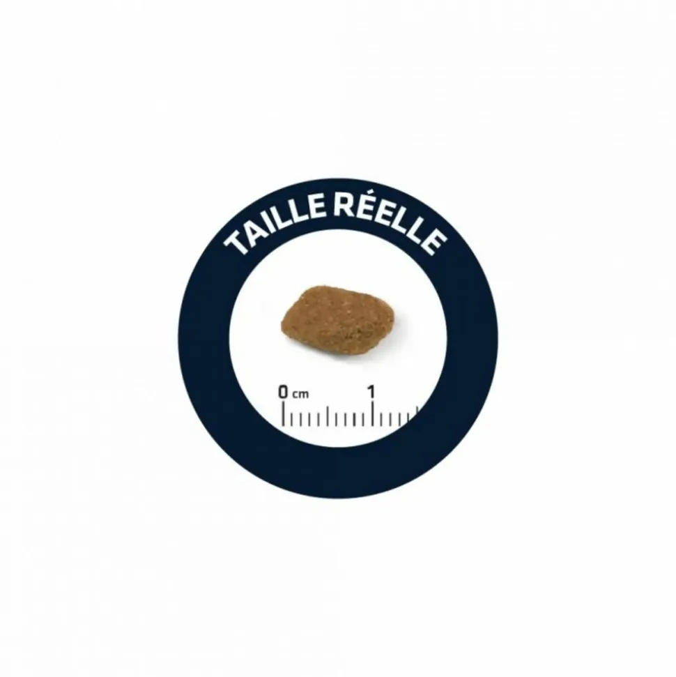 ADVANCE - Croquettes chien senior medium - advance 3 kg
