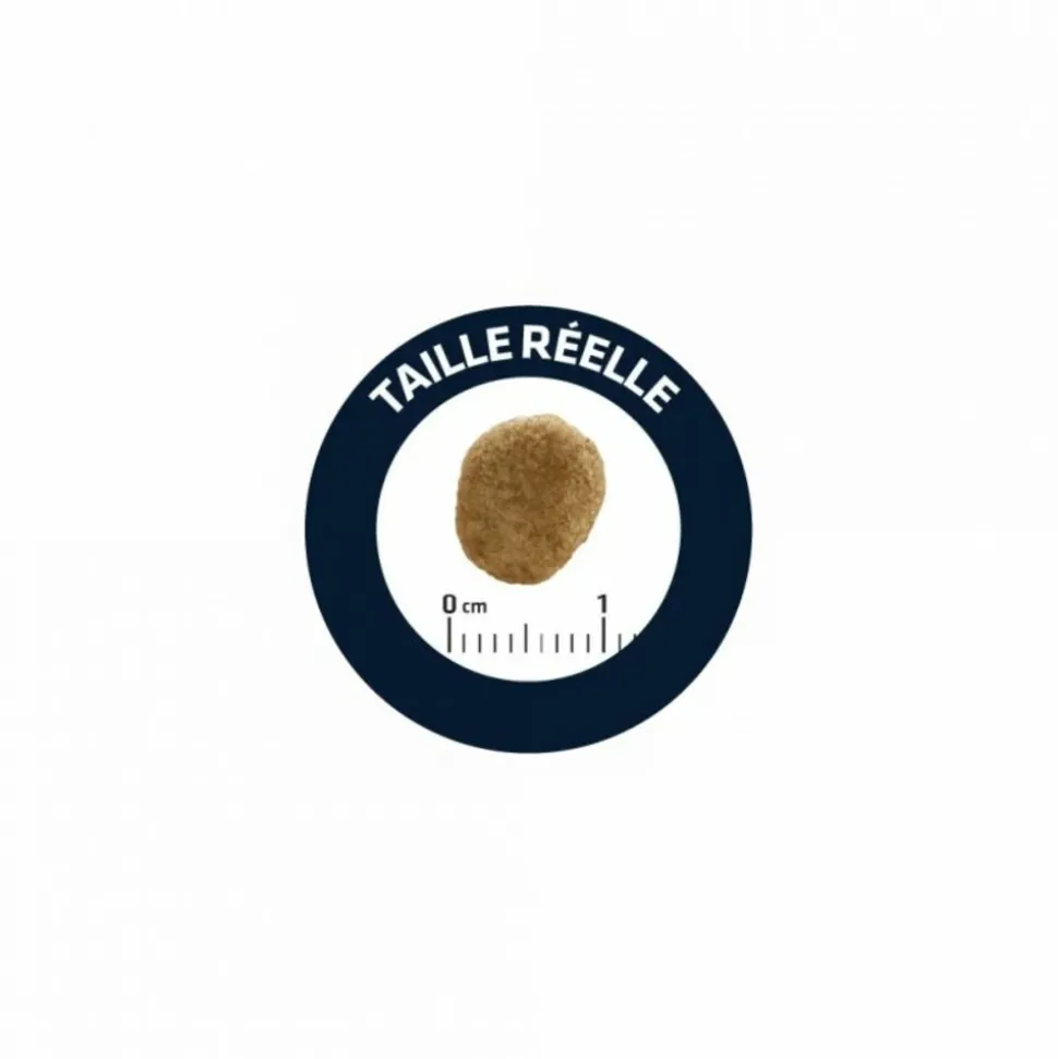 ADVANCE VETERINARY DIETS - Croquettes chat veterinary diet weight balance - advance 3 kg
