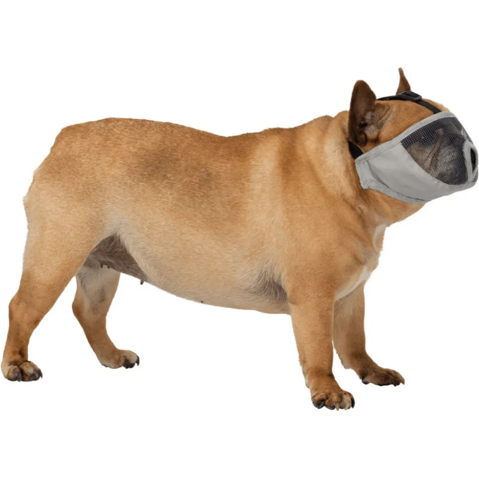 ANIMALLPARADISE - Muselière taille s pour les races de chien à nez court