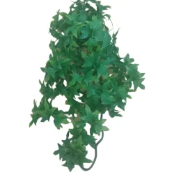 ANIMALLPARADISE - Plantes décorative imitation lierre du congo d'environ 36 cm