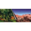 AQUA DELLA - Poster fond d'aquarium Jungle & Dessert 80x40cm