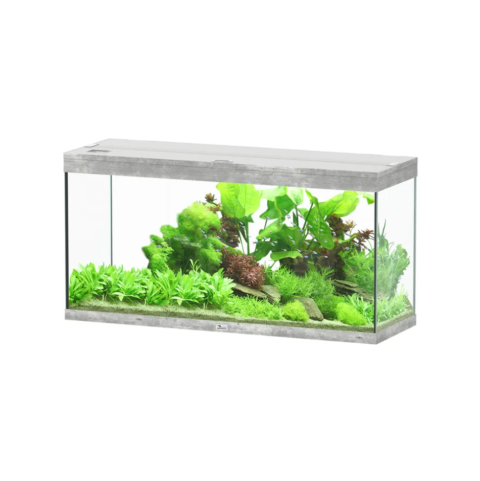 AQUATLANTIS - Aquarium équipé Splendid Led 2.0 Béton L.120xP.40xH.61cm