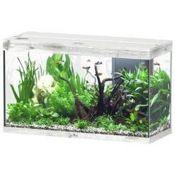 AQUATLANTIS - Aquarium équipé Splendid Led 2.0 Chêne Blanc L.100xP.40xH.61cm