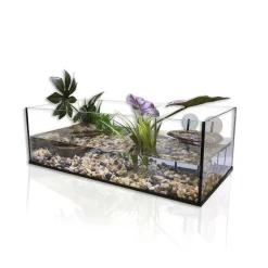 AQUAVIE - Terrarium en verre
