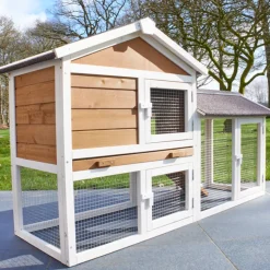 BB LOISIR - Cage clapier enclos lapin extérieur en bois haute qualité pour lapins petits animaux- modèle : 086 belle cour 146x50x86cm