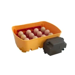 CHICK'A - Couveuse automatique 12 œufs