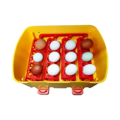 CHICK'A - Couveuse automatique 12 œufs