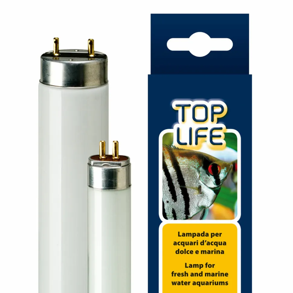Éclairage pour aquarium ferplast toplife 24w lumière du jour au néon rehausse les couleurs