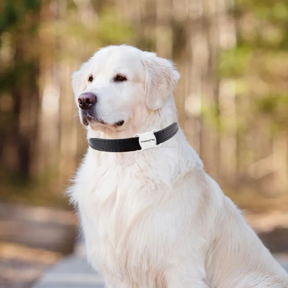 Collier de suivi gps intelligent et étanche pour chats et chiens