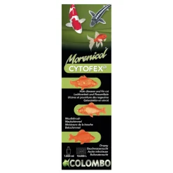 COLOMBO - Traitement contre les infections bactériennes Cytofex 1L /10,000L