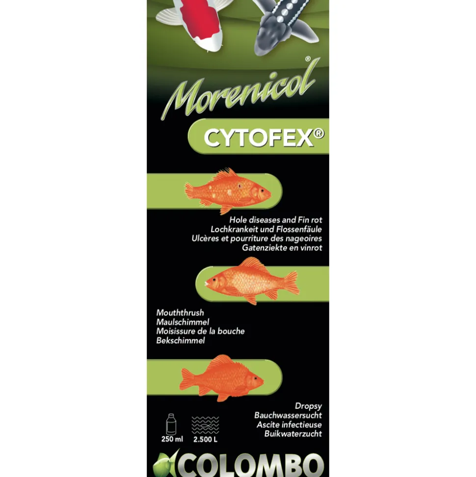 COLOMBO - Traitement contre les infections bactériennes Cytofex 500ml / 5.000 L