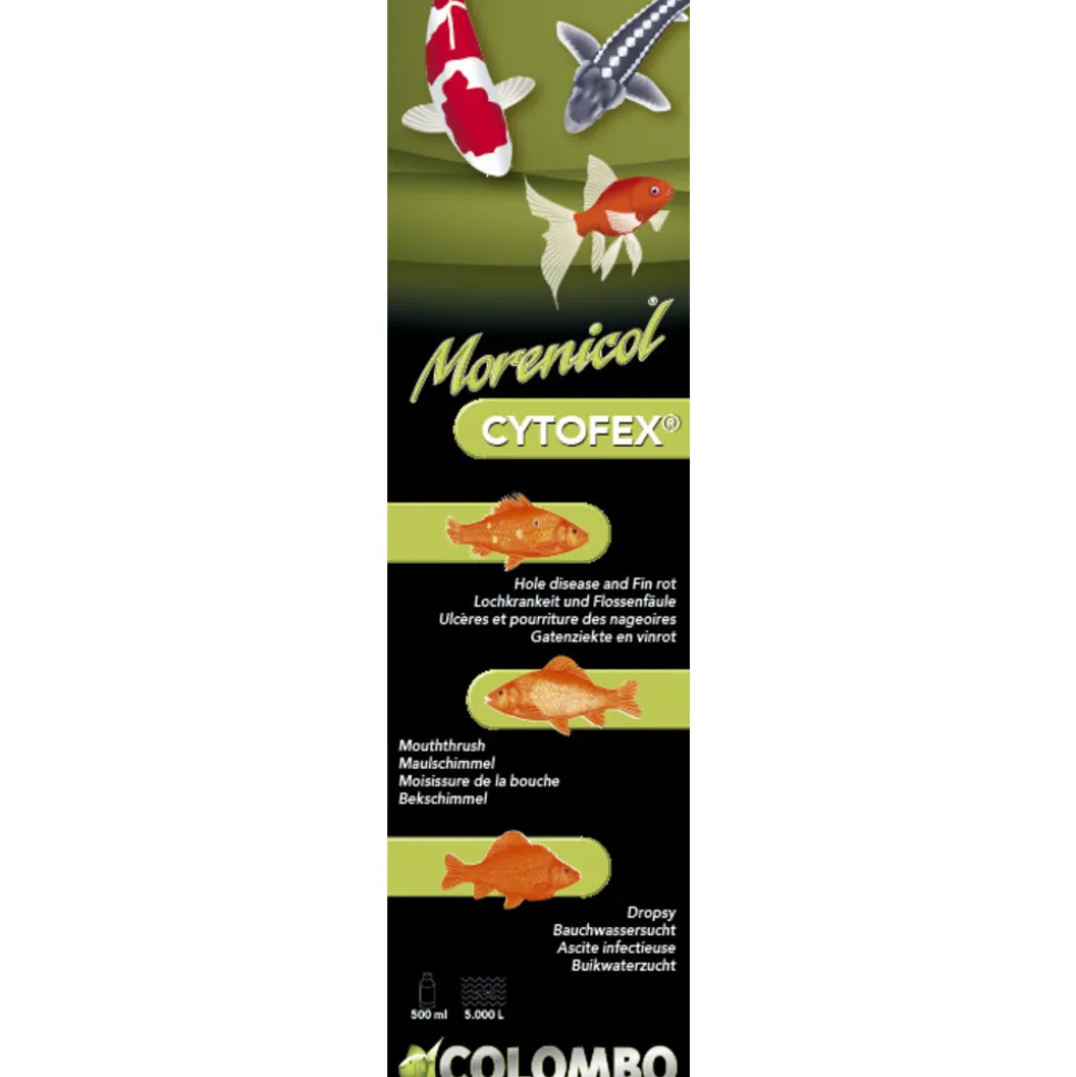COLOMBO - Traitement contre les infections bactériennes Cytofex 250ml /2500L