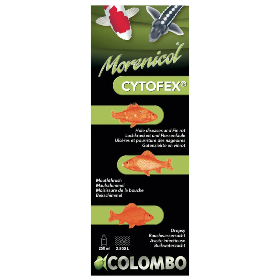 COLOMBO - Traitement contre les infections bactériennes Cytofex 250ml /2500L