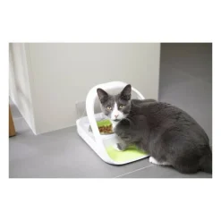 Distributeur daliment connect - blanc - pour chat