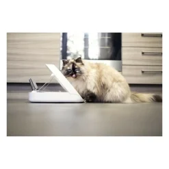 Distributeur daliment connect - blanc - pour chat
