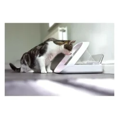 Distributeur daliment connect - blanc - pour chat