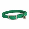 DOOGY FASHION - Collier nylon simple chromé chat vert