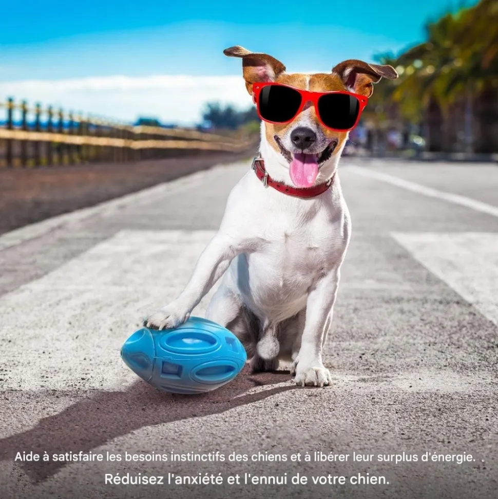 DOWNYPAWS - Balle jouet pour chien-jouet pour chien balle en caoutchouc-jouets interactifs-football bleu