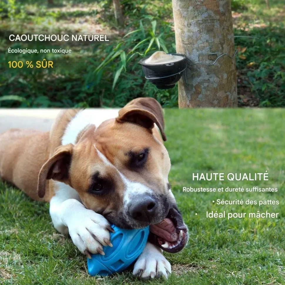 DOWNYPAWS - Balle jouet pour chien-jouet pour chien balle en caoutchouc-jouets interactifs-football bleu