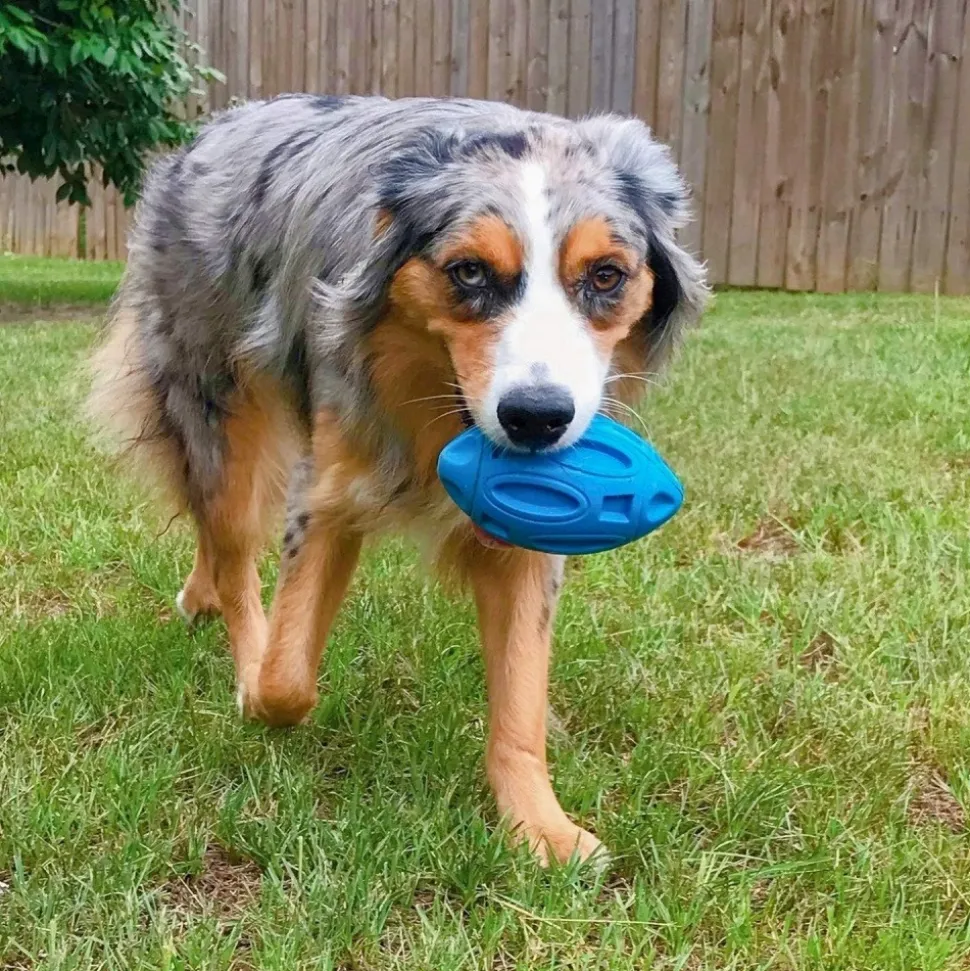 DOWNYPAWS - Balle jouet pour chien-jouet pour chien balle en caoutchouc-jouets interactifs-football bleu