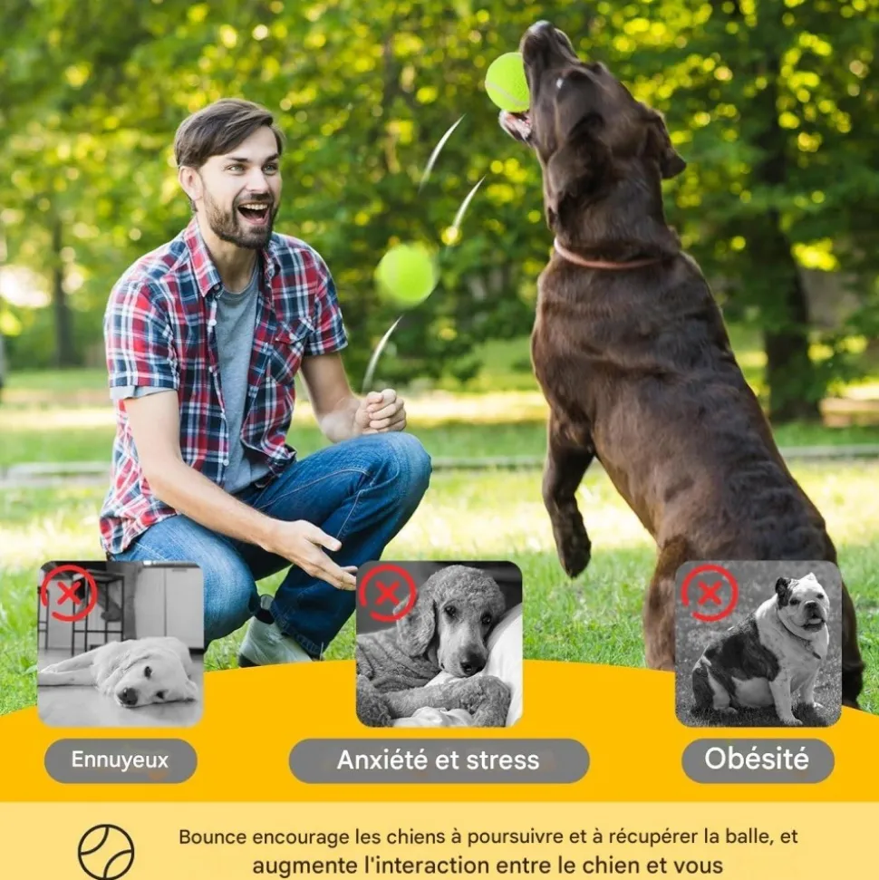 DOWNYPAWS - Balle jouet pour chien tennis(12 pièces), en caoutchouc et feutre de haute qualité, compatible lanceur 6 cm