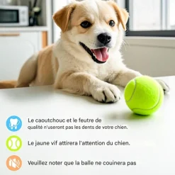 DOWNYPAWS - Balle jouet pour chien tennis(12 pièces), en caoutchouc et feutre de haute qualité, compatible lanceur 6 cm