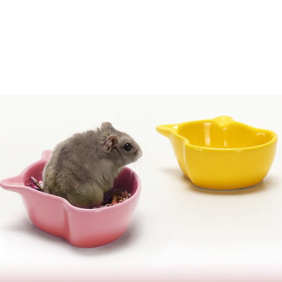 DOWNYPAWS - Bol antidérapant en céramique pour animal