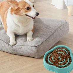 DOWNYPAWS - Bol d'alimentation lent pour chien