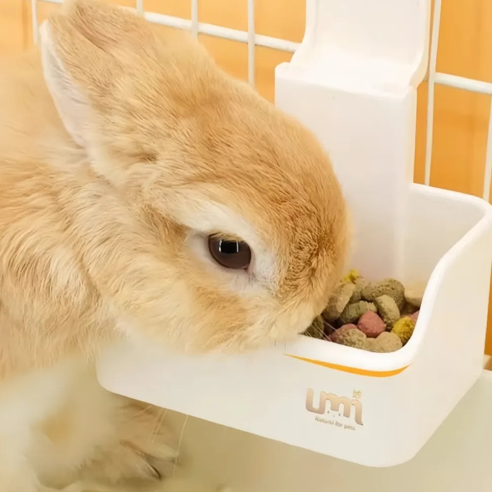 DOWNYPAWS - Bol de nourriture pour petits animaux