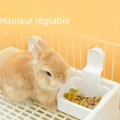 DOWNYPAWS - Bol de nourriture pour petits animaux