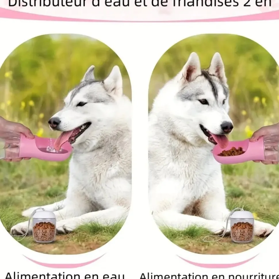 DOWNYPAWS - Bouteille d'eau portable pour chat et chien 550ml