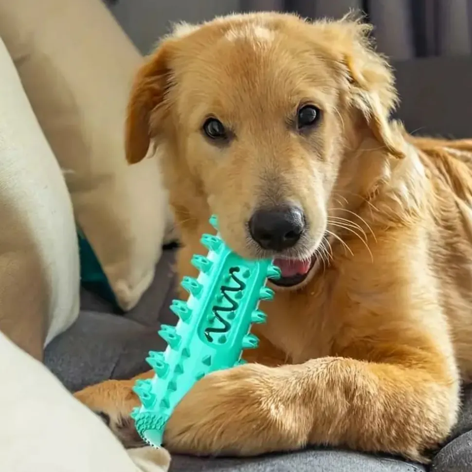 DOWNYPAWS - Brosse à Dents Durable Pour Chien - Jouet à Mâcher Et Soin Dentaire