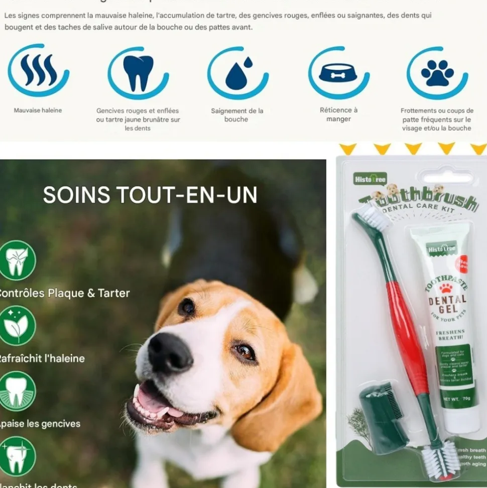 DOWNYPAWS - Brosses à dents dentifrice pour animaux saveur de bœuf-brosse à dents et dentifrice pour chien-hygiène bucco-dentaire-70g