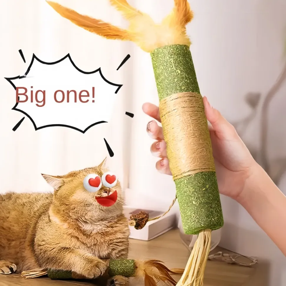 DOWNYPAWS - Bâtonnets de dentition à herbe à chat : jouet anti-ennui résistant aux morsures