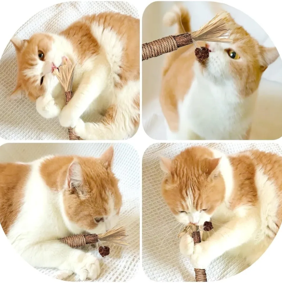 DOWNYPAWS - Bâtonnets herbe à chat 6 pièces 22cm-bâton de dentition pour chat-bon pour la santé dentaire