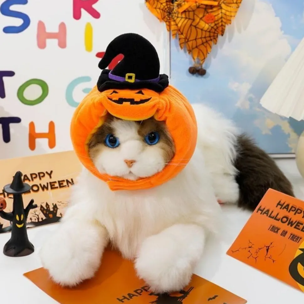 DOWNYPAWS - Chapeau de chat halloween-chapeau citrouille-m (longueur 37cm largeur 9cm hauteur 9cm)