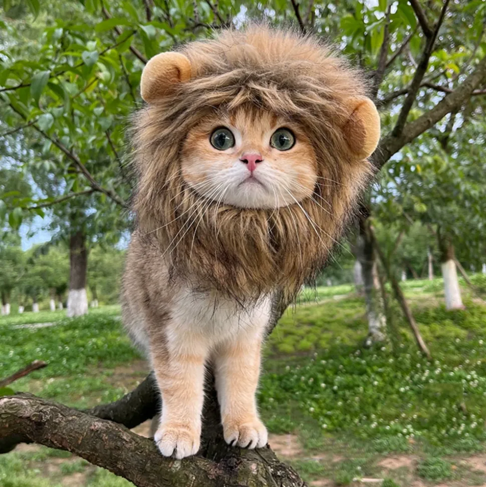 DOWNYPAWS - Coiffe de chapeau de lion mignon pour chiens et chats