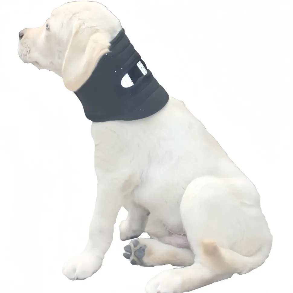DOWNYPAWS - Collier de soutien post - opératoire respirant et solide avec protection anti - traction pour chien