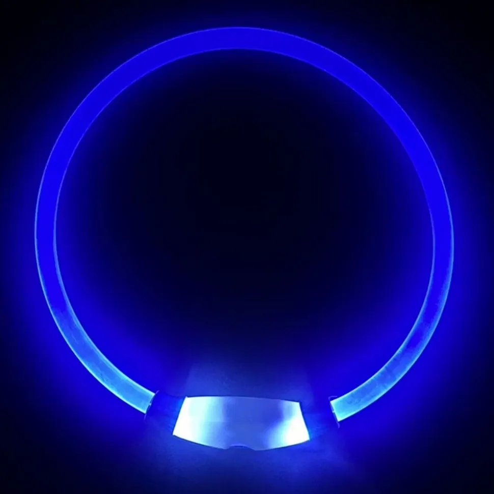 DOWNYPAWS - Collier lumineux rechargeable pour chien bleu taille l, circonférence 70 cm