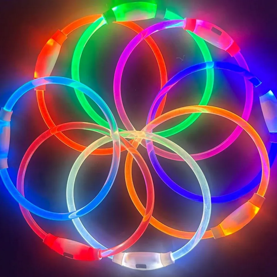 DOWNYPAWS - Collier lumineux rechargeable pour chien taille m : 50 cm de circonférence