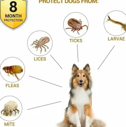 DOWNYPAWS - Colliers anti - puces et anti -tiques, lot de 2 pour chiens