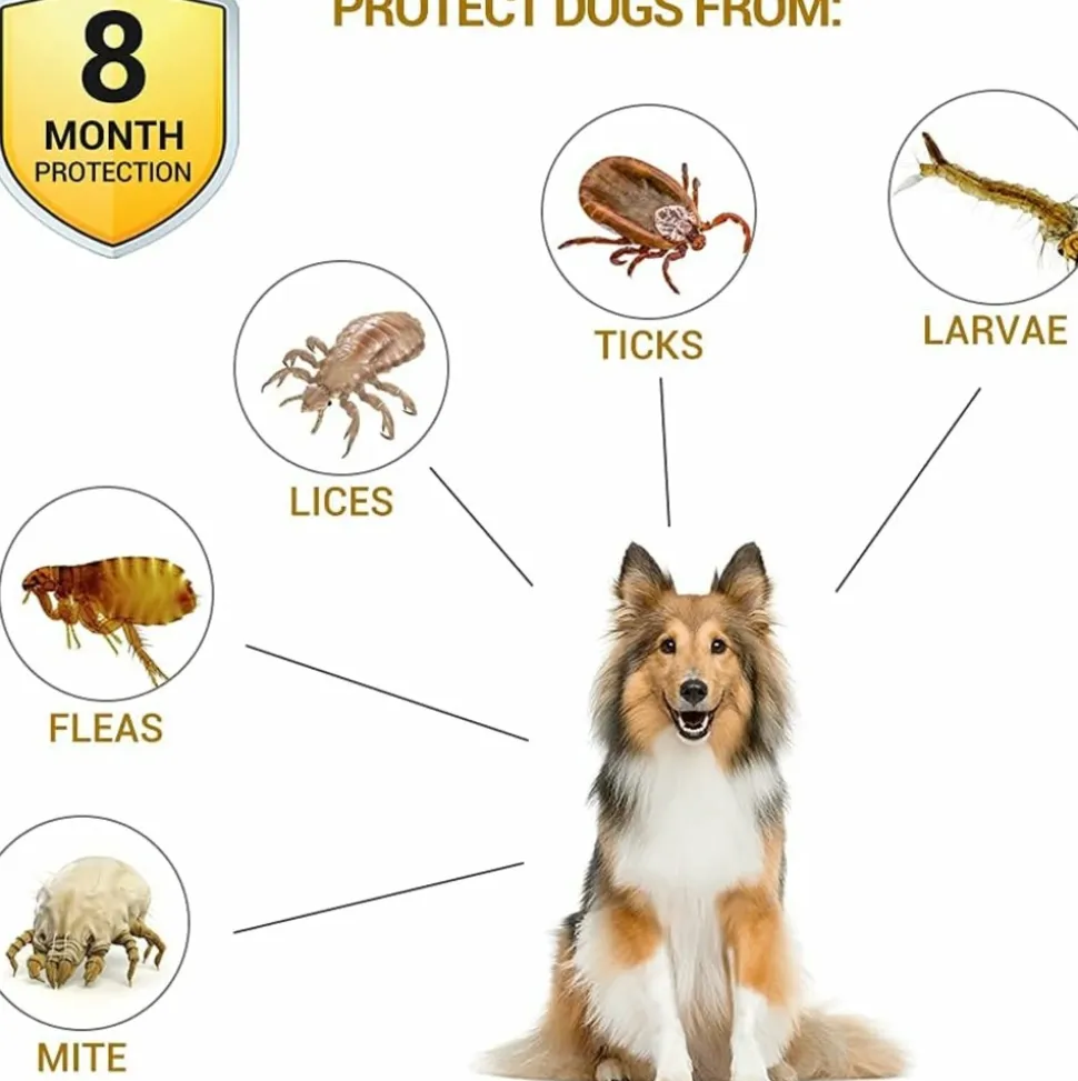 DOWNYPAWS - Colliers anti - puces et anti -tiques, lot de 2 pour chiens
