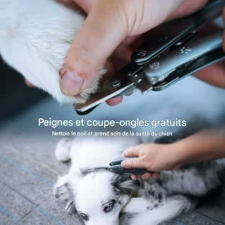 DOWNYPAWS - Coupe ongle chien avec lime & peigne - multifonction en un