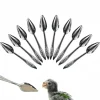 DOWNYPAWS - Cuillère à nourrir - métal pour pivoine perruches conures