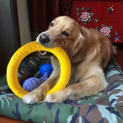 DOWNYPAWS - Disque Durable Pour Chien - Idéal Pour Entraînement, Tir à La Corde Et Natation