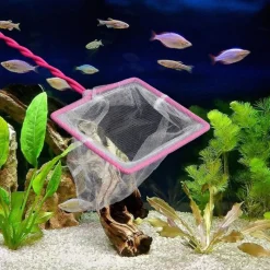 DOWNYPAWS - Filet sécurisé pour aquarium