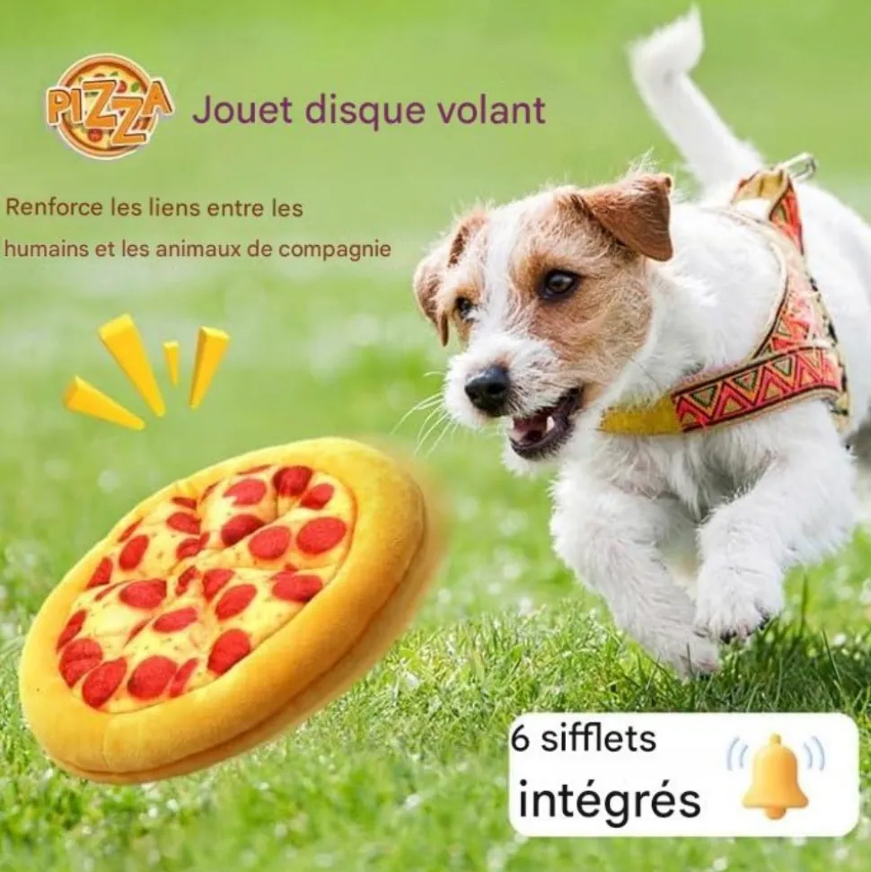 DOWNYPAWS - Frisbee pour chien-matière pelucheuse jouets interactifs- en forme de pizza-23.5cm