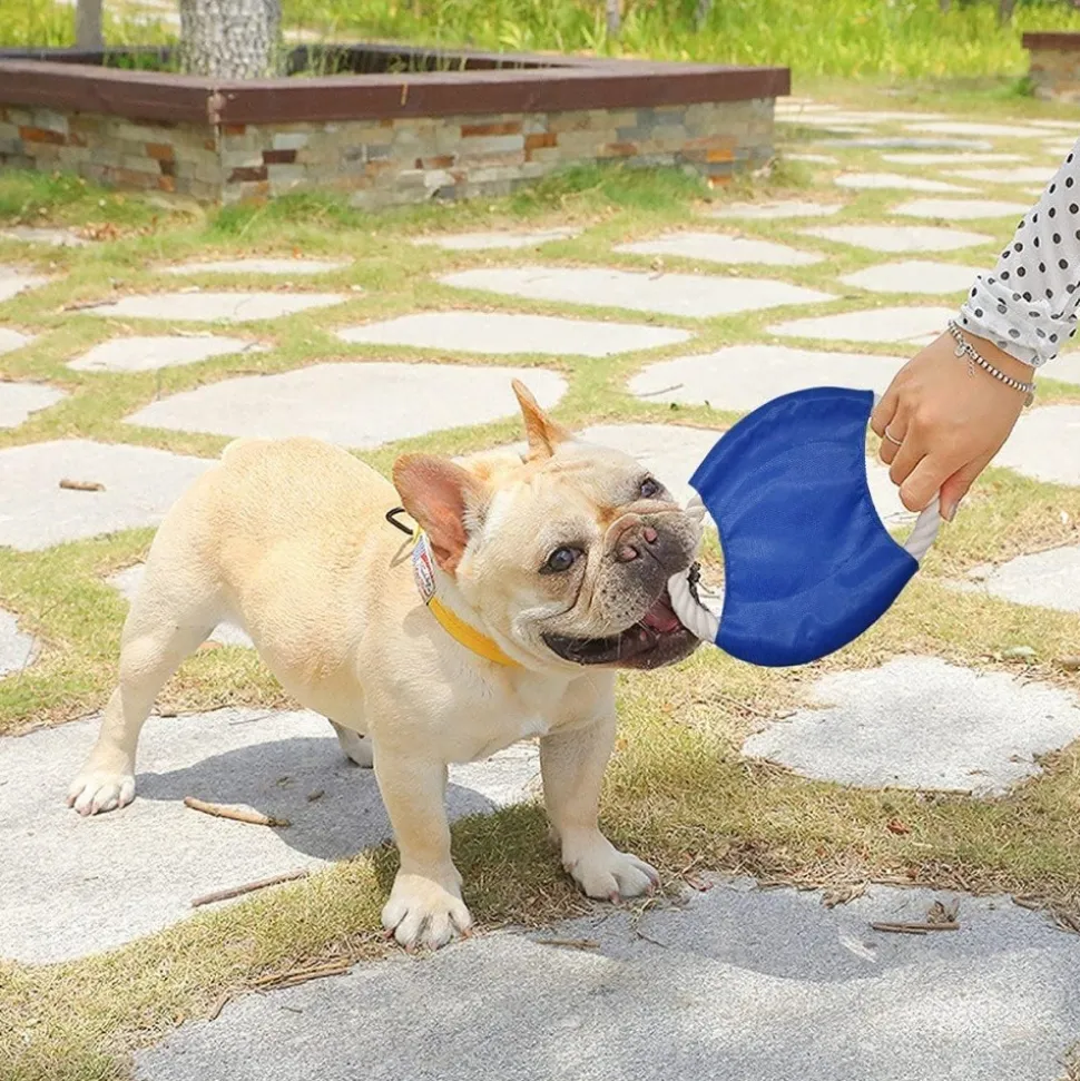 DOWNYPAWS - Frisbees pour chiens