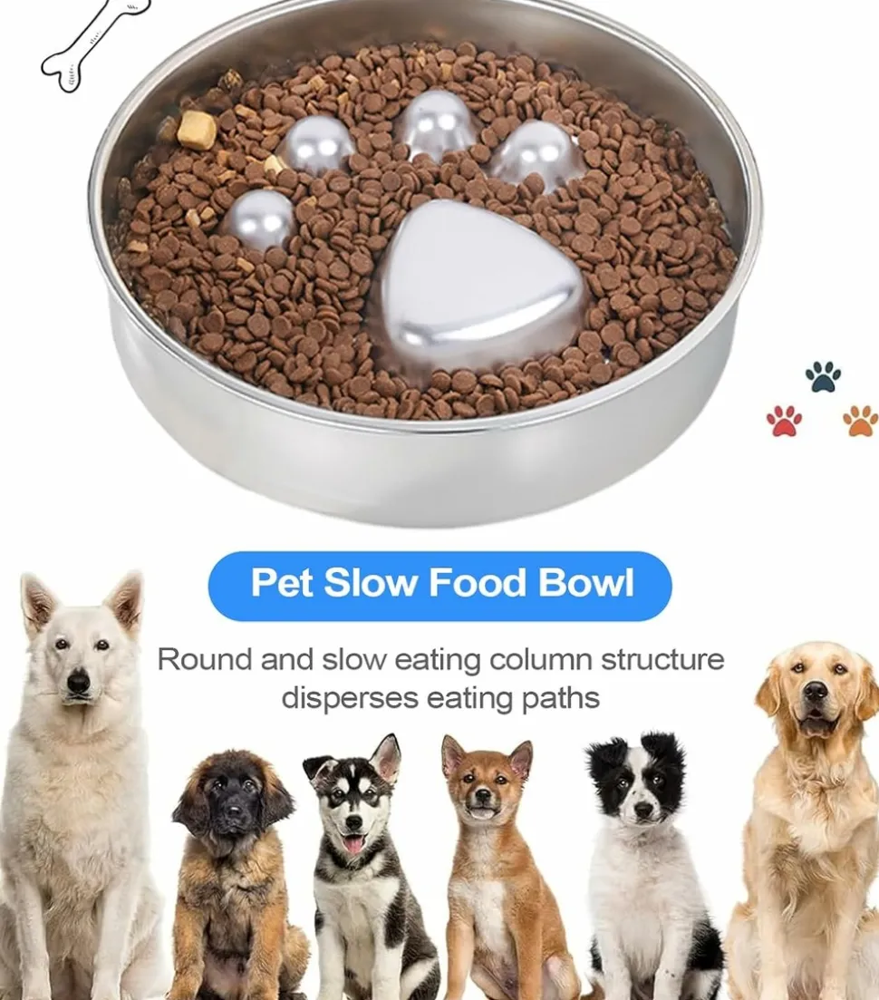 DOWNYPAWS - Gamelle anti-glouton pour chien - inox antidérapant